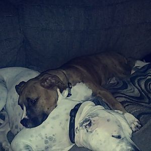 Meet your Posher, Richard